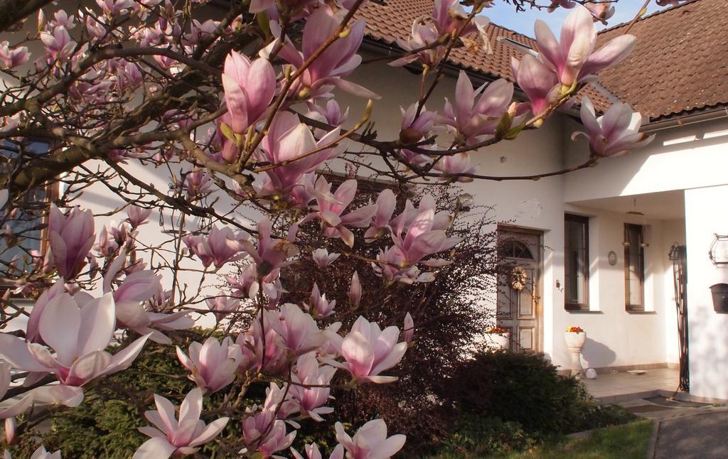 Apartmany Pod Kozakovem Tatobity Zewnętrze zdjęcie