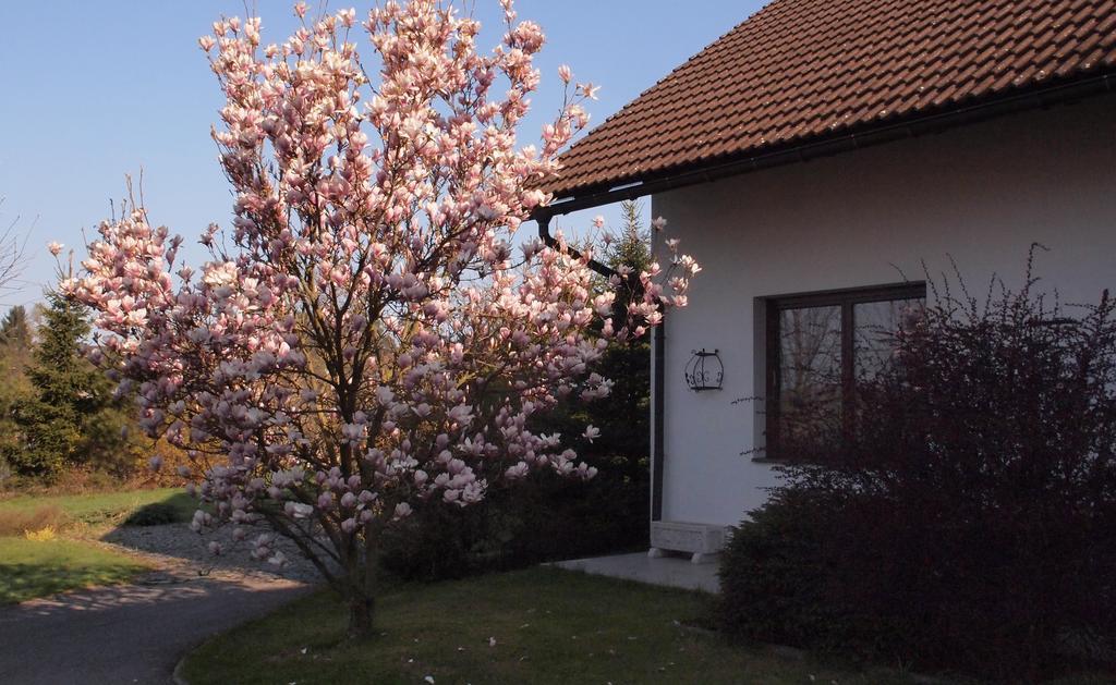 Apartmany Pod Kozakovem Tatobity Zewnętrze zdjęcie